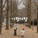 가평시가지 자전거길 | 가평 여행 :: 명지쉼터가든 잣곰탕, 남이섬 그림책도서관 눈사람호떡