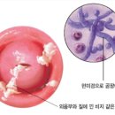 스포짐 이미지