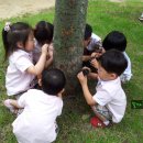 수인사유치원 이미지