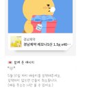 메듀 이미지