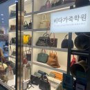비다가죽학원
