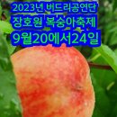 버드리ㅡ이천장호원 복숭아 축제 공연일정 이미지