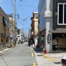 나이스 토마토 이미지
