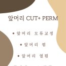 시에라헤어 네이버블로그