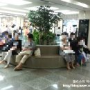 고투몰(강남터미널 지하도상가) 네이버블로그