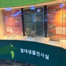 [부산여행] 부산 아이랑 가볼만한 곳 부산해양자연사박물관 방문 후기