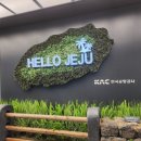 배배게스트하우스