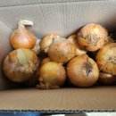 광평농장 이미지