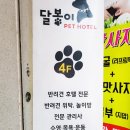 달봉이 COMPANY 이미지