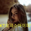 아이피넷