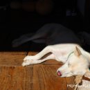 시골대청마루 이미지