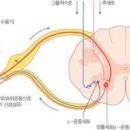 백본 휘트니스 이미지