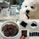 너구리 유격대 이미지