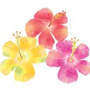 개나리꽃집 이미지