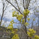 길목민박 이미지