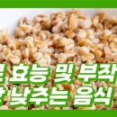 슈퍼곡물 파로를 아십니까 이미지