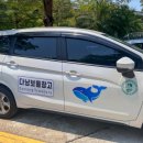 모닝마트 | 나트랑 자유여행 일일투어 환전 카페 롯데마트 모닝투어 예약 후기