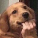 에이치덴탈 이미지