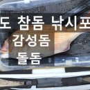 송정유료낚시터 이미지