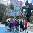 서구 열정태권도장 이미지