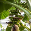 봄뜰에농장 이미지