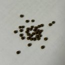 금정라인한의원 이미지