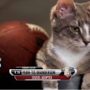 퍼피플래닛 이미지