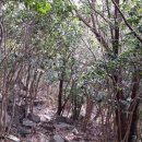 탑립농장 이미지