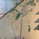 사월의국수 이미지