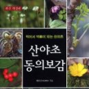 약이 되는 산야초 이미지