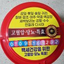 약초상회 이미지