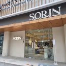 나무그늘 | 종로 웨딩밴드 투어 소린주얼리 후기 (나무그늘,클로즈,신상)