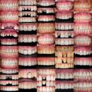 훤치과기공소 이미지