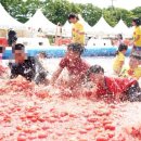 토마토온누리약국 이미지