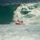 (주)에스비팜 이미지