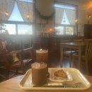 종달새어린이집 | 자매맘 용용이의 일상(2025.12.08~14)💛