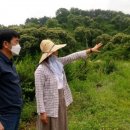 상림컨설팅
