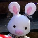 돼지토끼 이미지