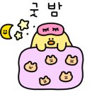 가오리주짓수 네이버블로그