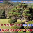 꿀벌아 고마워 공인중개사사무소 이미지