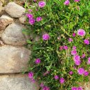 고성건축사사무소 이미지