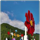 삼양농장 이미지