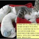 이벤트 진행 내맘데로 퀴즈 이미지