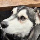 자인수산 이미지