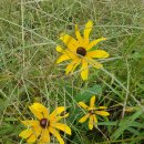 한림정역 이미지