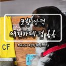 애견카페&호텔 댕댕당 | [포항] 포항 양덕동 애견카페&amp;호텔 후기