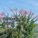 달다란금산 이미지