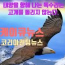 양영초교 앞 이미지