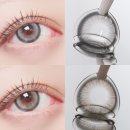 오로라 캣 | 오로라렌즈 아이디프 미유 13.6mm #버만캣 버만 그레이 #러시안블루 러블 그린