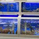 스끼다시천국 이미지